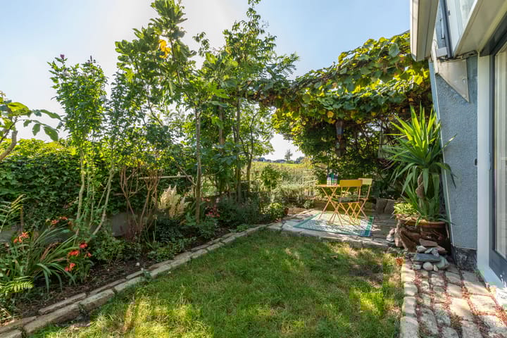 Photo 54 of Pyreneeën 5