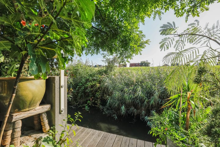 Photo 55 of Pyreneeën 5