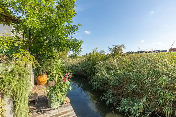 Photo 57 of Pyreneeën 5