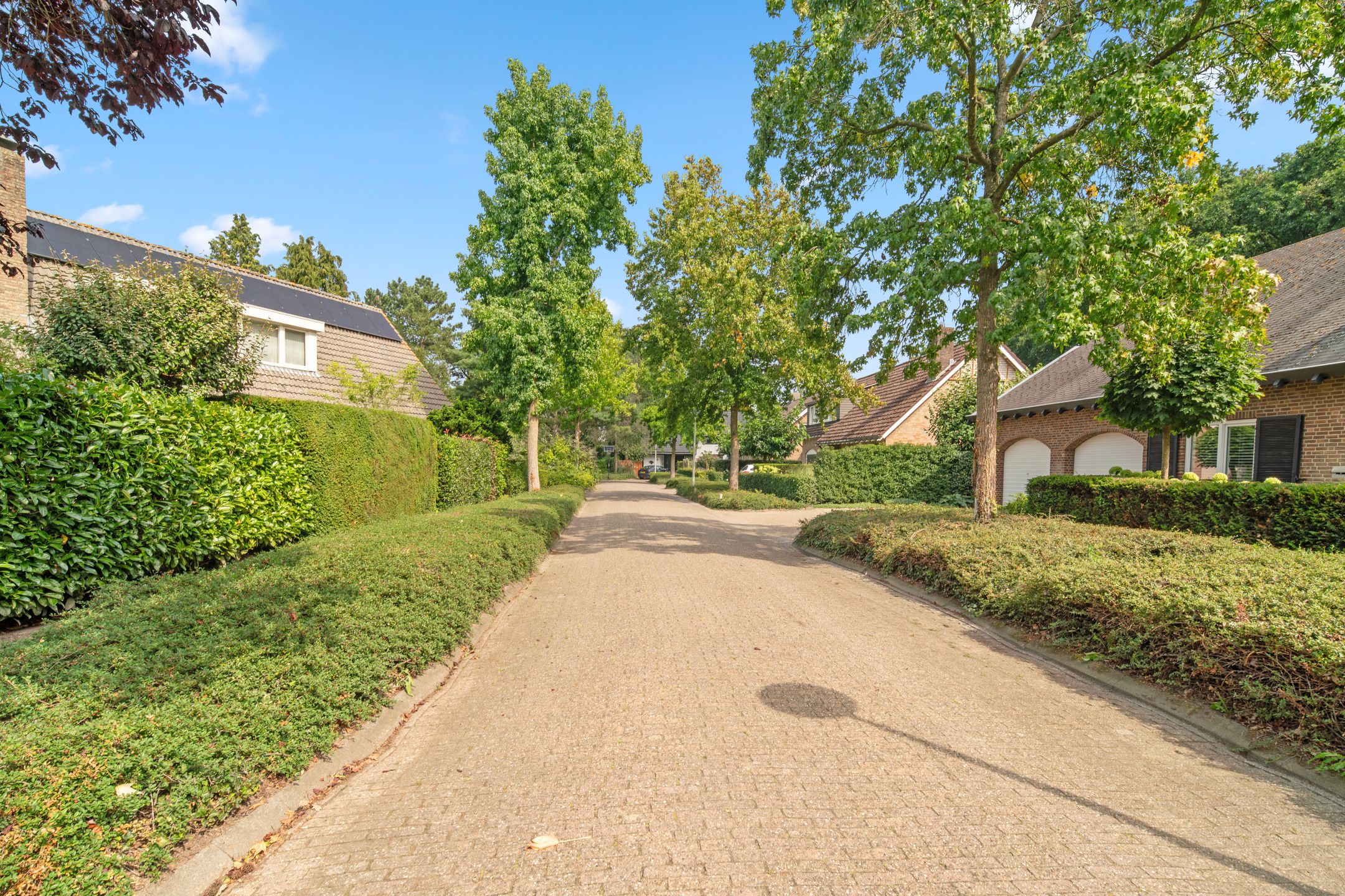 Foto 54 van Euklaasdijk 8