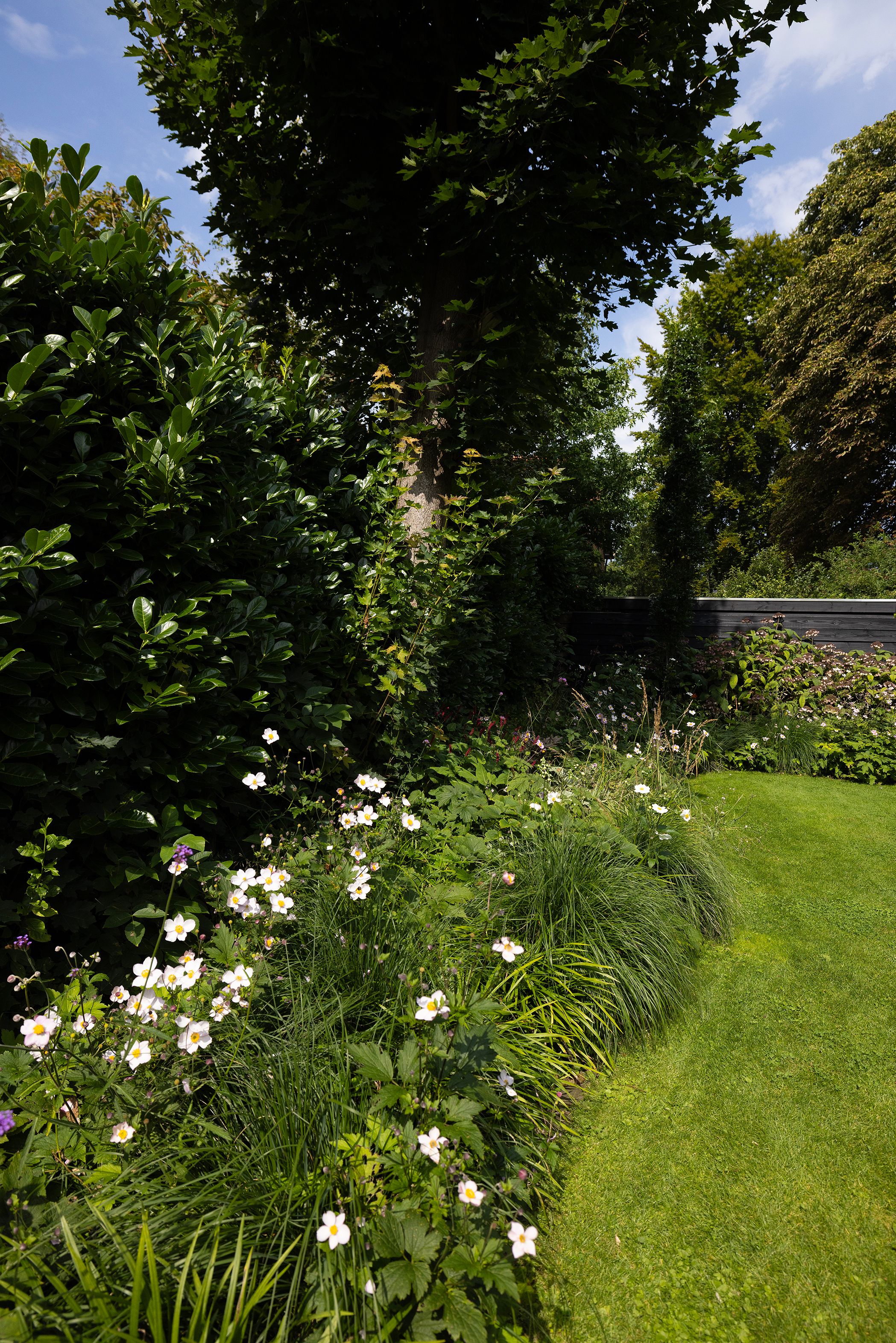 Foto 33 van F.A. Molijnlaan 45