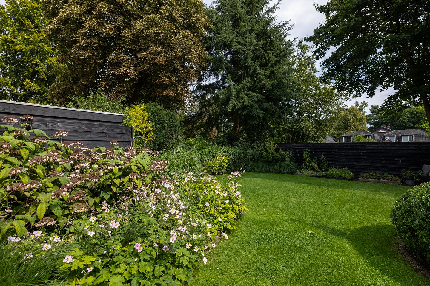 Foto 35 van F.A. Molijnlaan 45