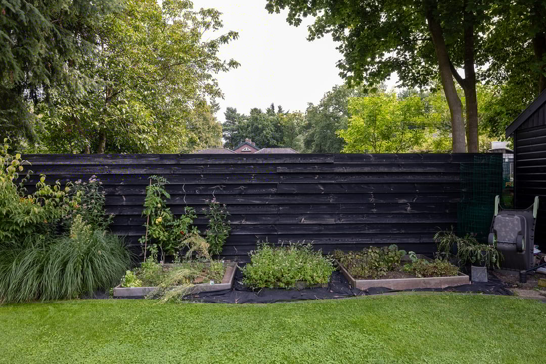 Foto 37 van F.A. Molijnlaan 45