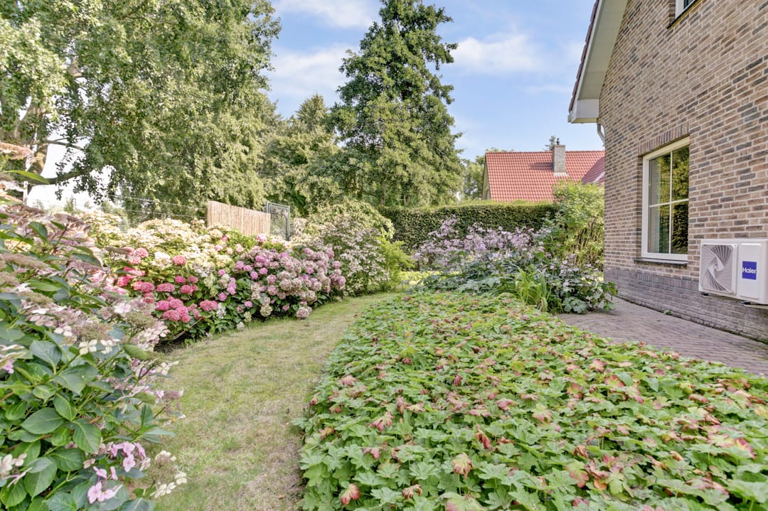 Foto 61 van De Amstel 26