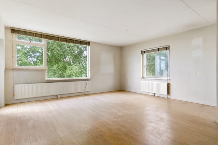 Foto 3 van Terpmeent 23