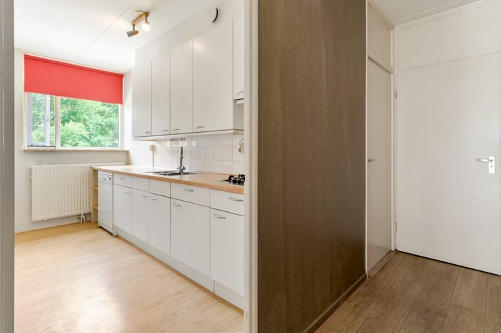 Foto 11 van Terpmeent 23