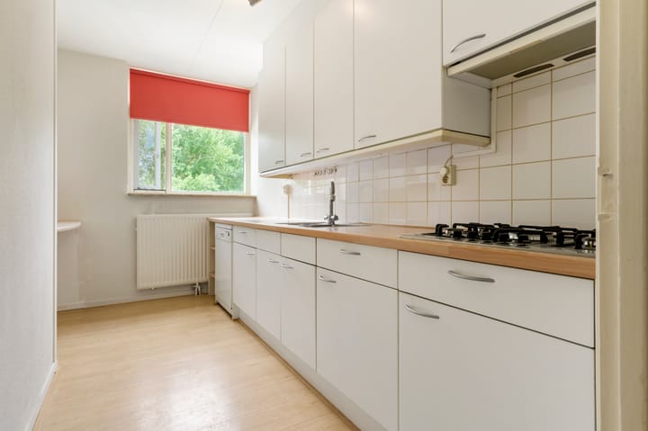 Foto 12 van Terpmeent 23