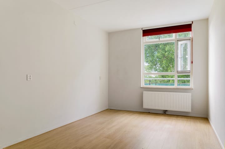 Foto 19 van Terpmeent 23