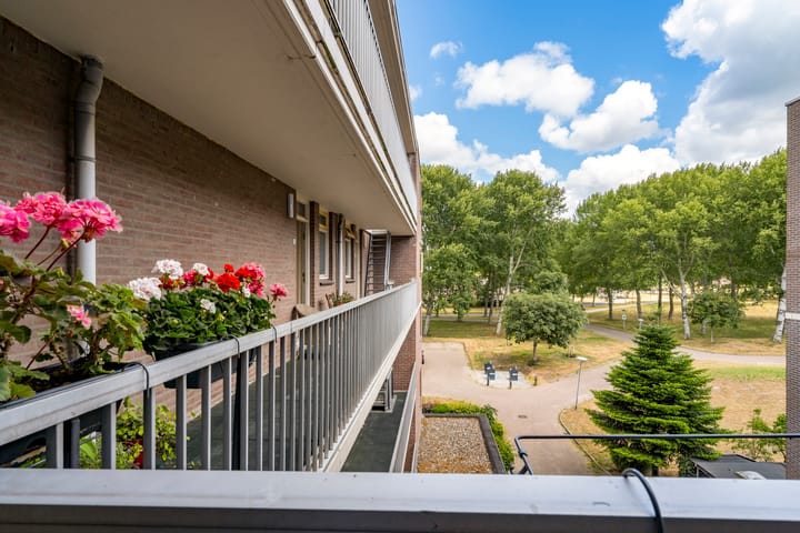 Foto 30 van Terpmeent 23