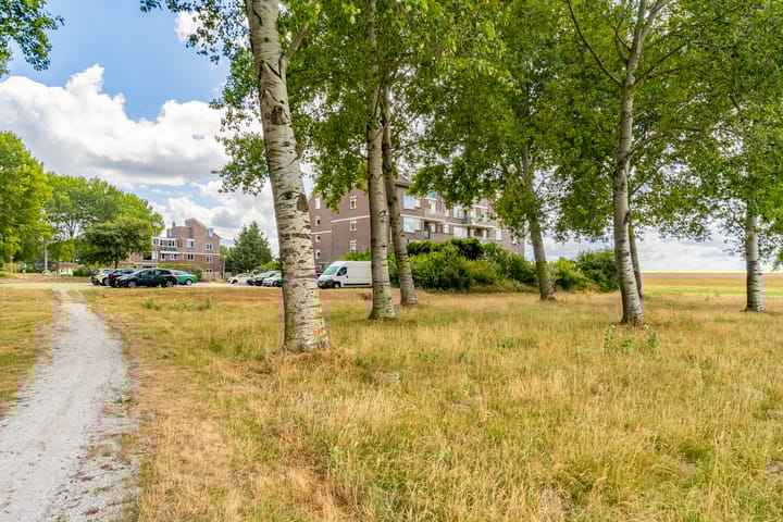 Foto 37 van Terpmeent 23