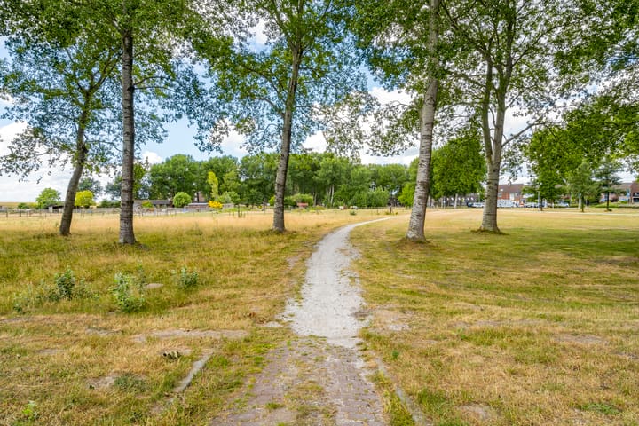 Foto 38 van Terpmeent 23