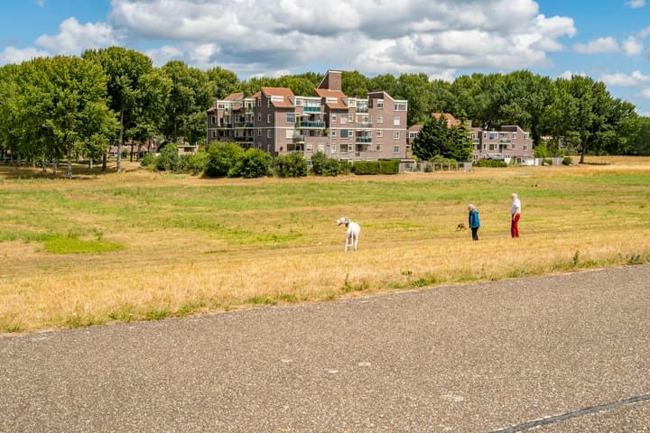 Foto 39 van Terpmeent 23