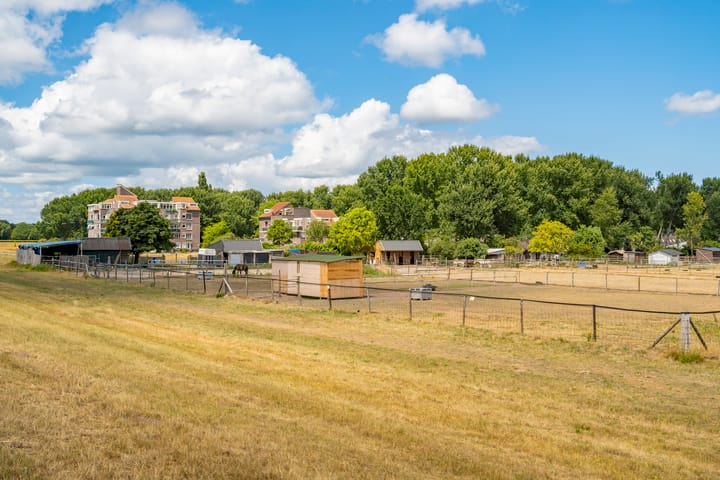 Foto 40 van Terpmeent 23