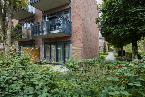 Hooft Graaflandstraat 2-C5