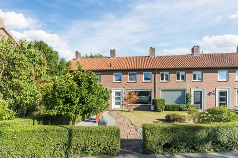 undefined main image