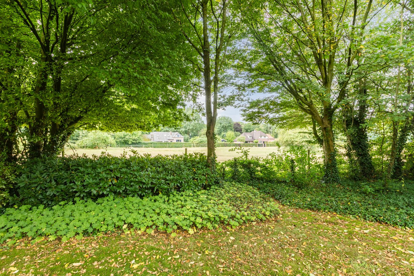 Foto 4 van Monumentenweg 8