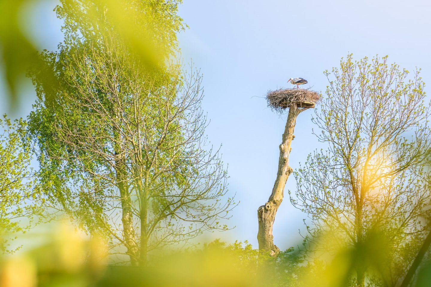 Foto 12 van Langelilleweg 2