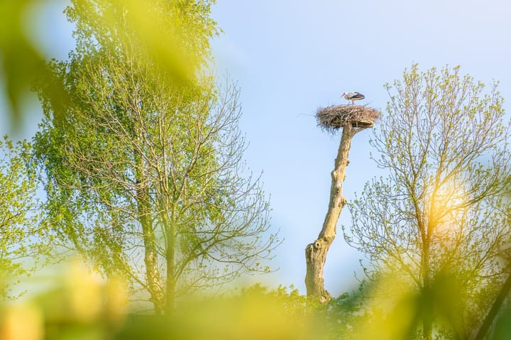 Foto 12 van Langelilleweg 2