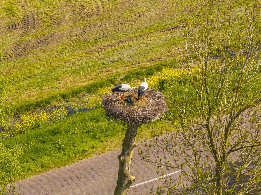 Foto 13 van Langelilleweg 2