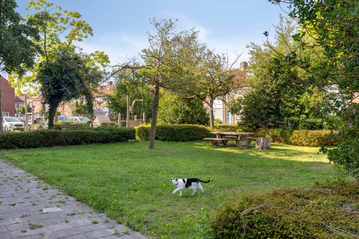 Foto 23 van Oude Bogerd 36-A