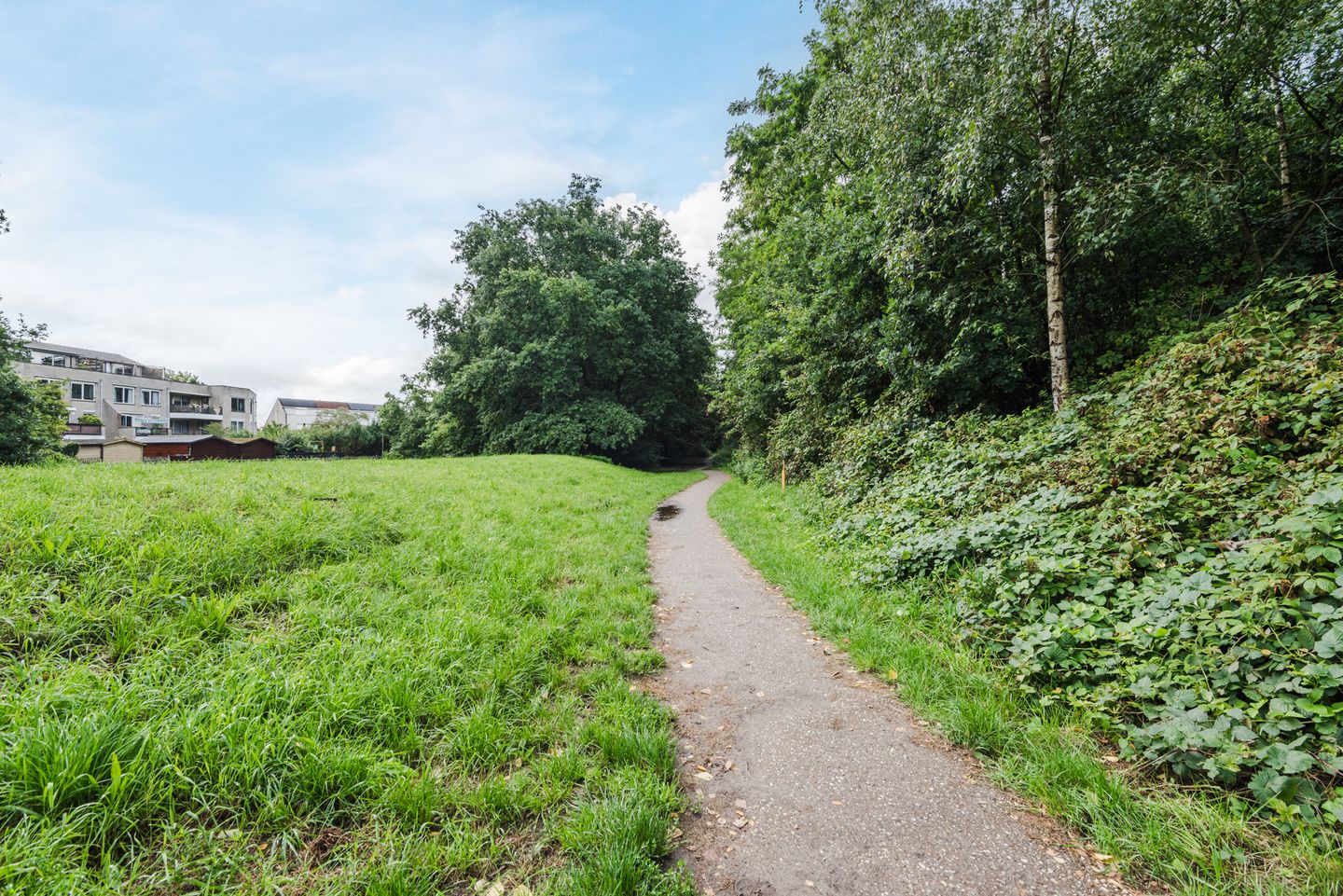 Foto 50 van Eendekamp 106