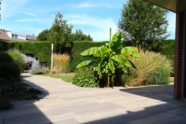 Foto 13 van Bosboomplantsoen 44