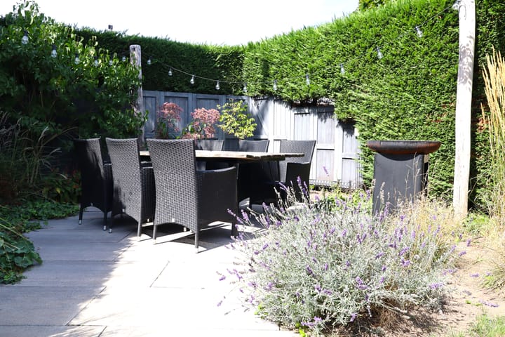 Foto 15 van Bosboomplantsoen 44