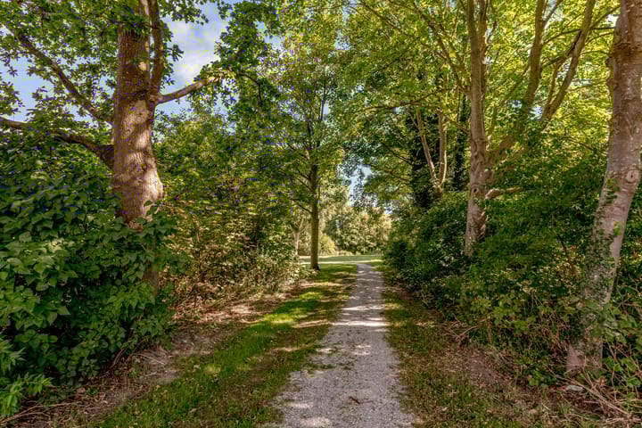 Photo 28 of Eendragt 6