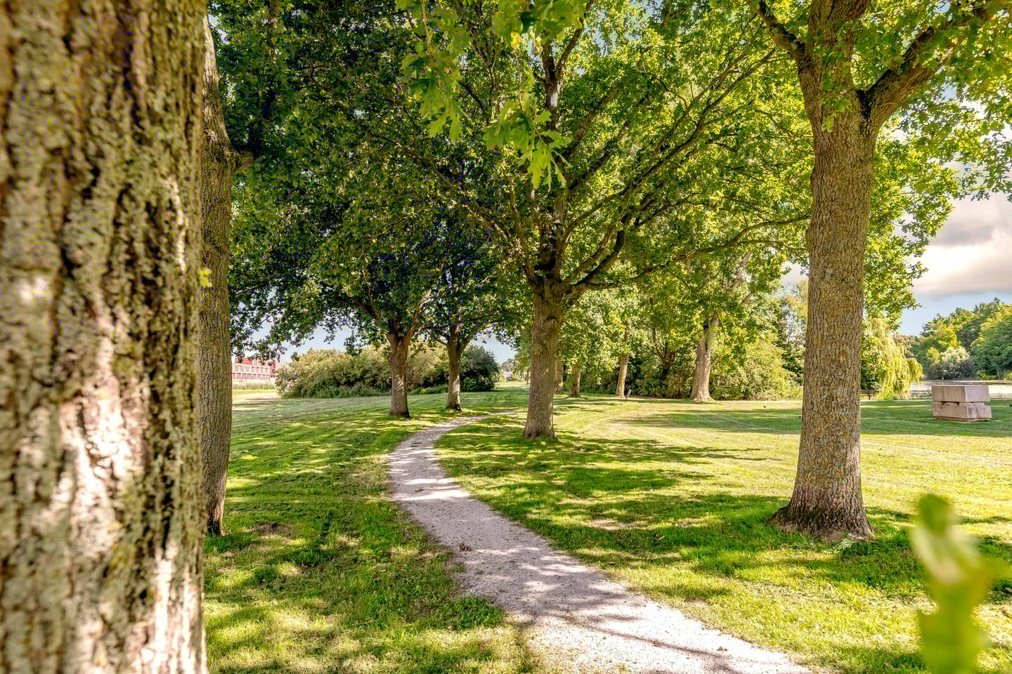 Photo 29 of Eendragt 6