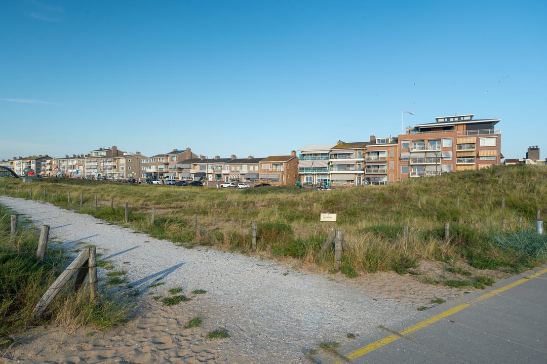 Photo 52 of Boulevard 62