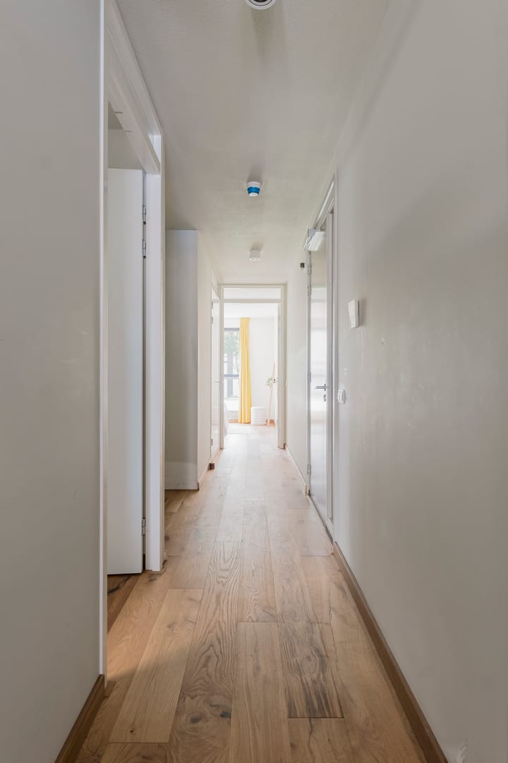 Foto 11 van Memeleiland 58