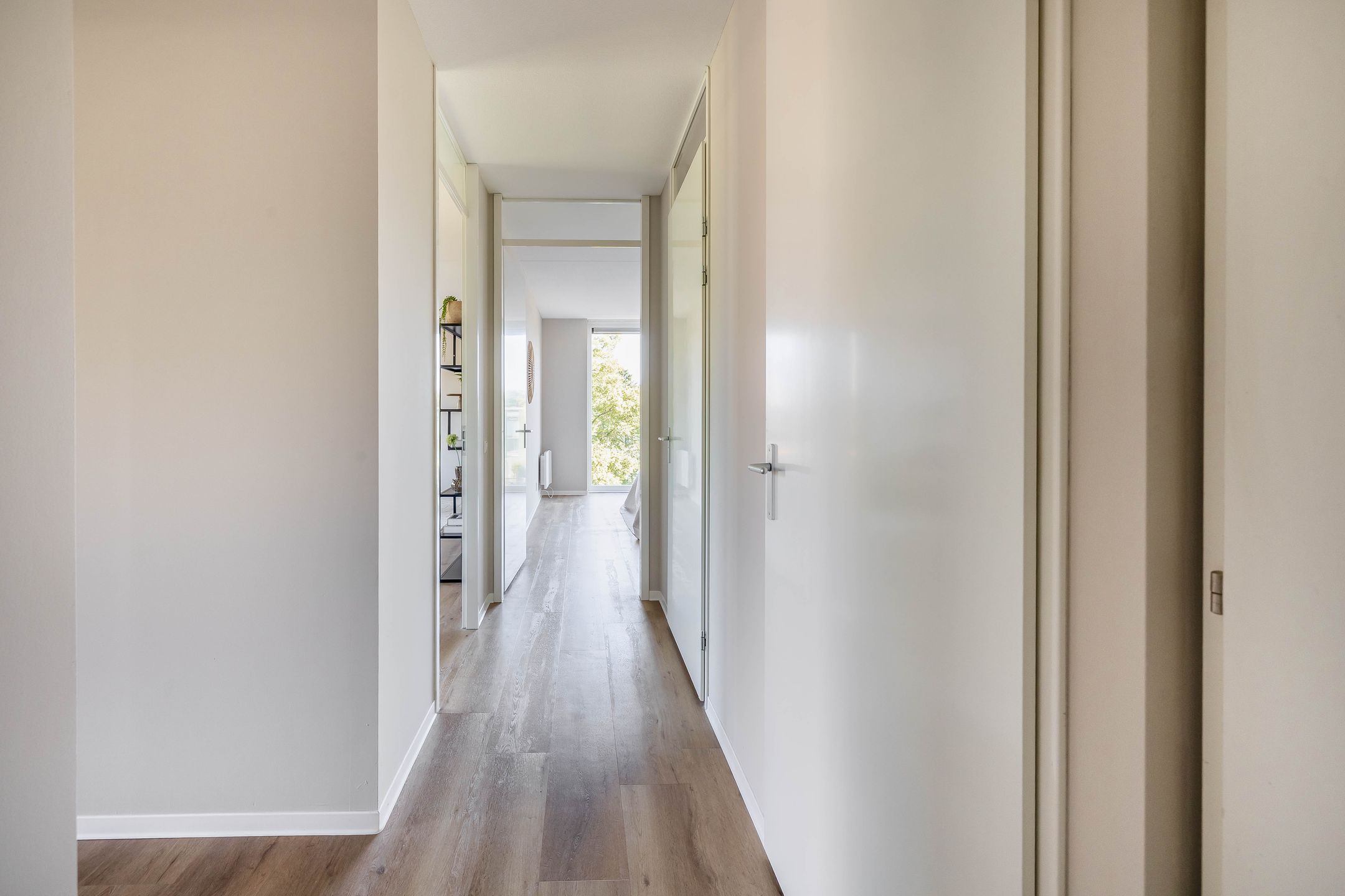 Foto 12 van Otterstraat 113