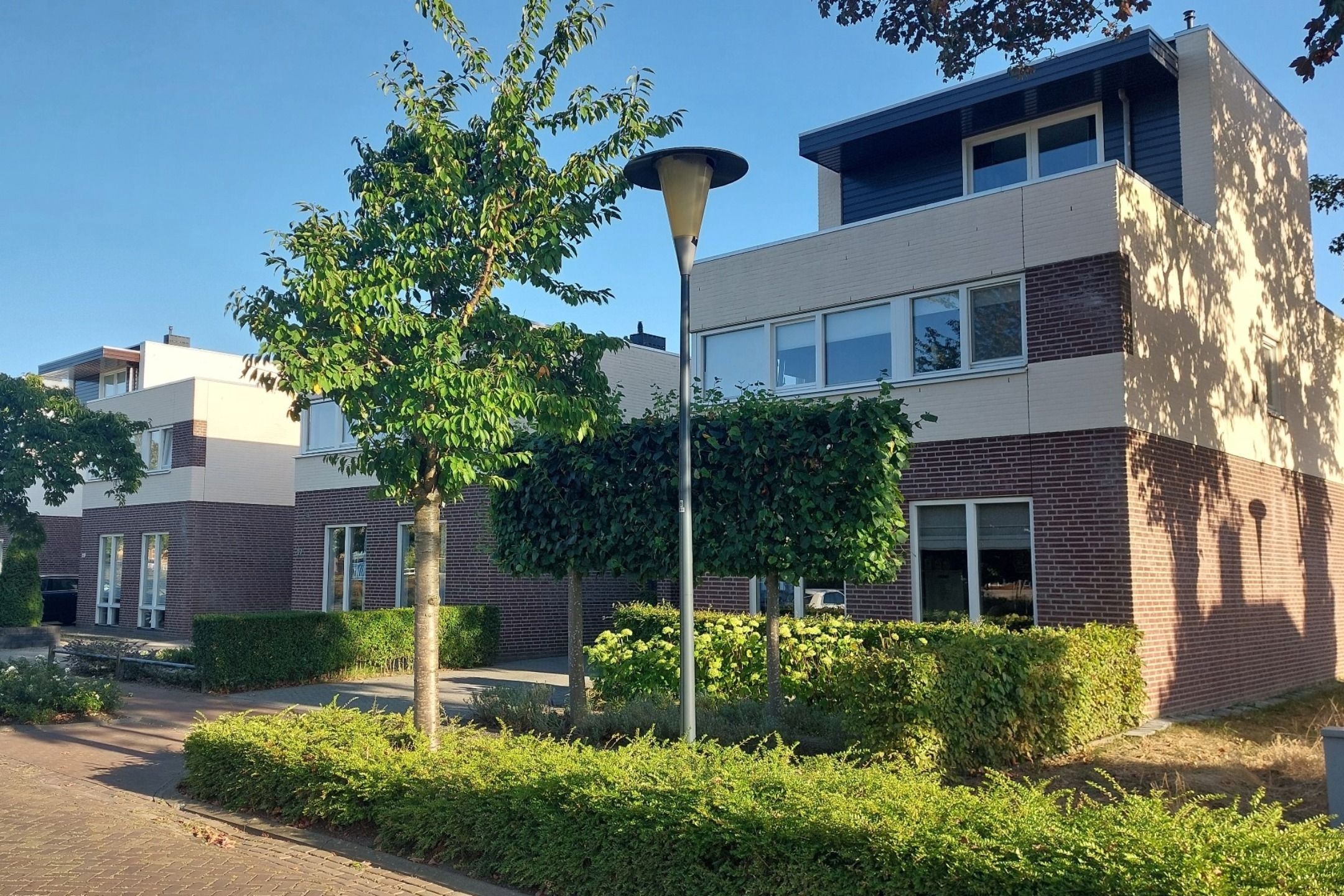 Foto 45 van Vlutterven 25