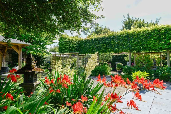 Foto 4 van Eendekroos 100