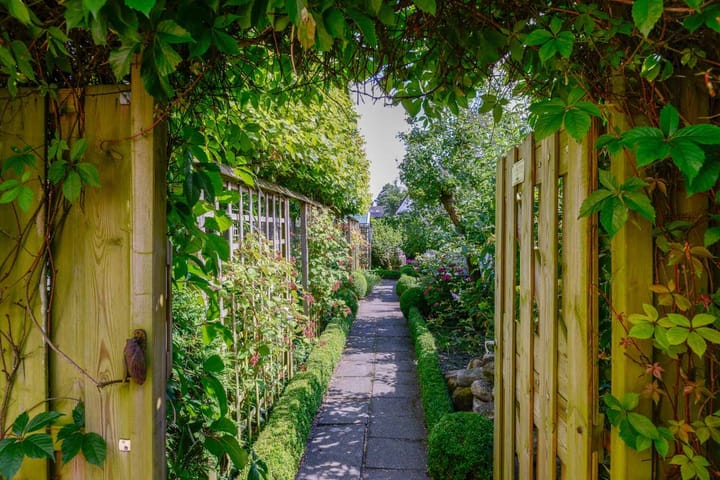 Foto 51 van Eendekroos 100