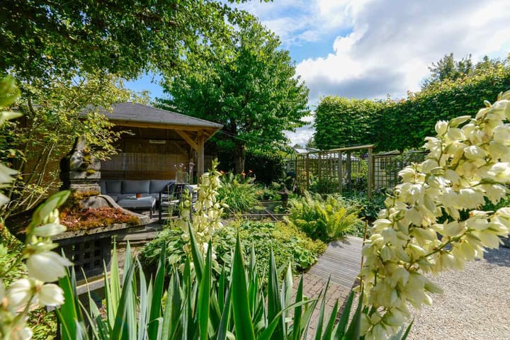 Foto 58 van Eendekroos 100