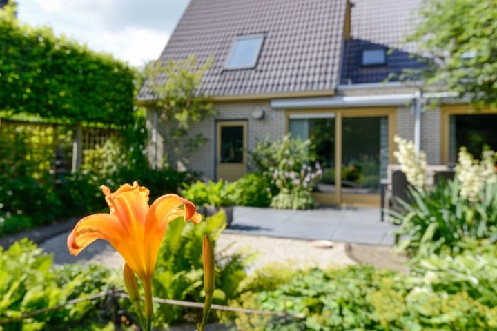 Foto 63 van Eendekroos 100