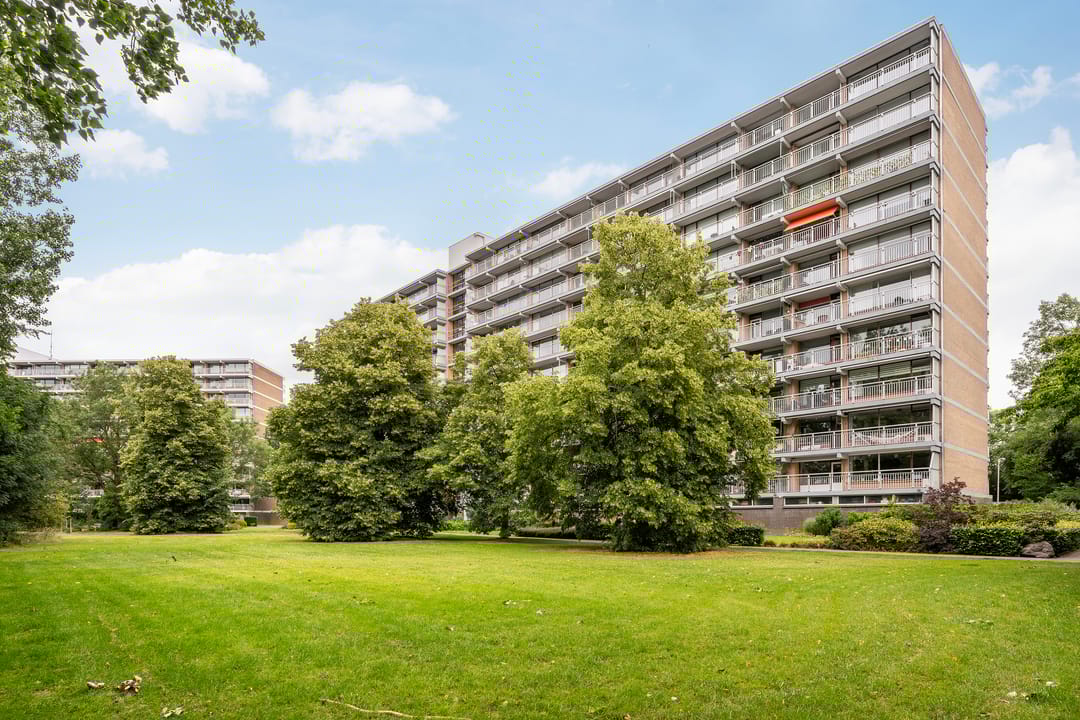 Foto 2 van Seringenplantsoen 169