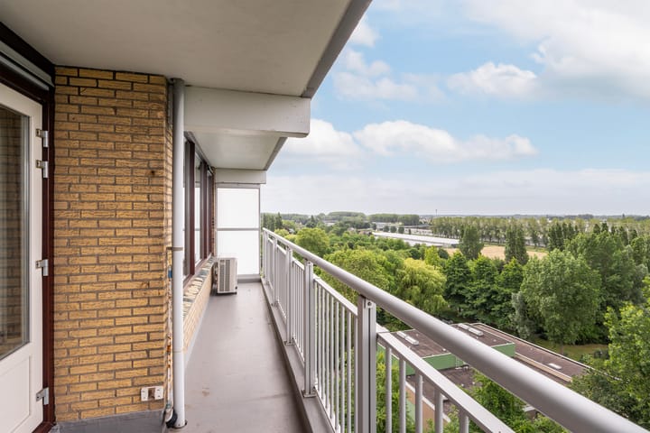 Foto 3 van Seringenplantsoen 169