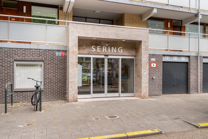 Foto 4 van Seringenplantsoen 169