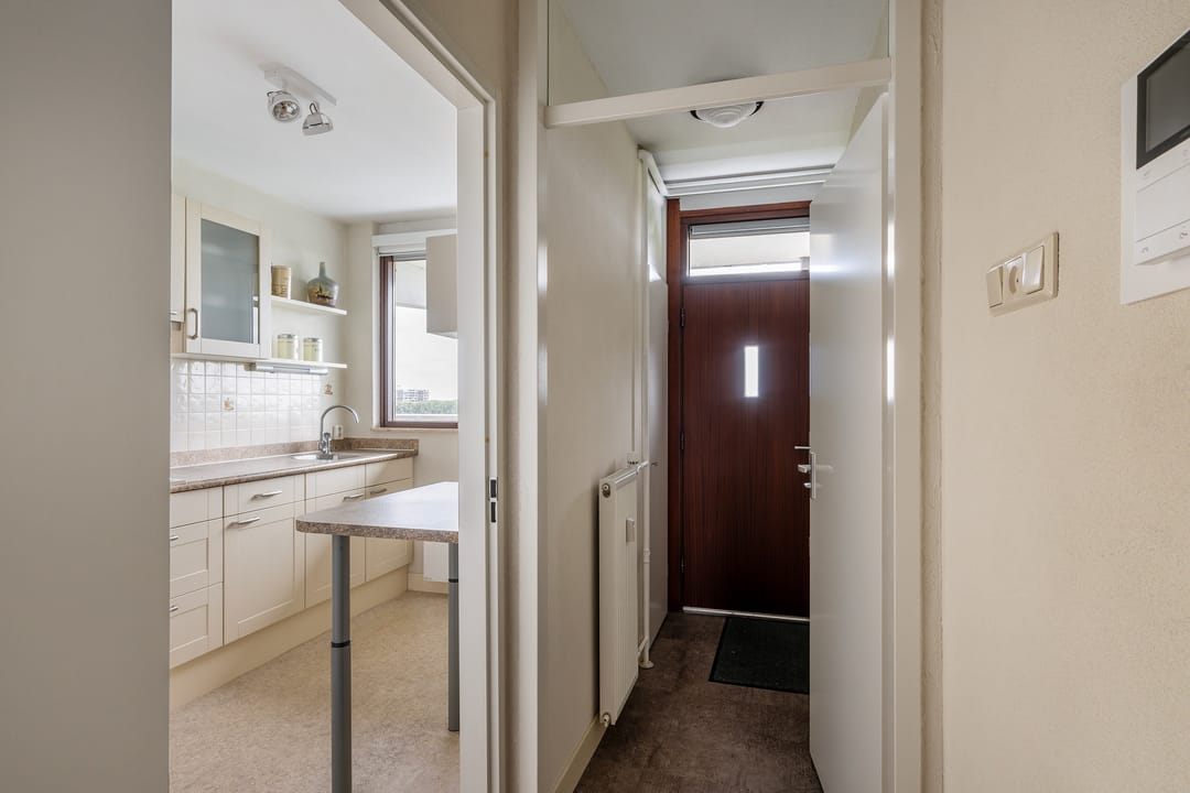 Foto 8 van Seringenplantsoen 169