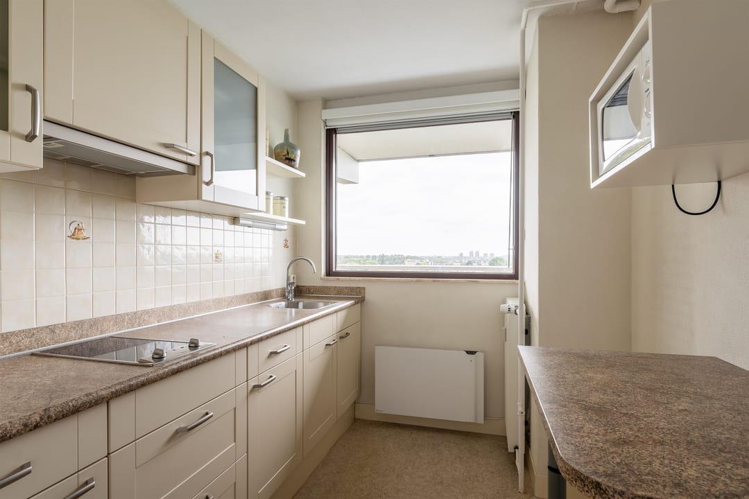 Foto 11 van Seringenplantsoen 169