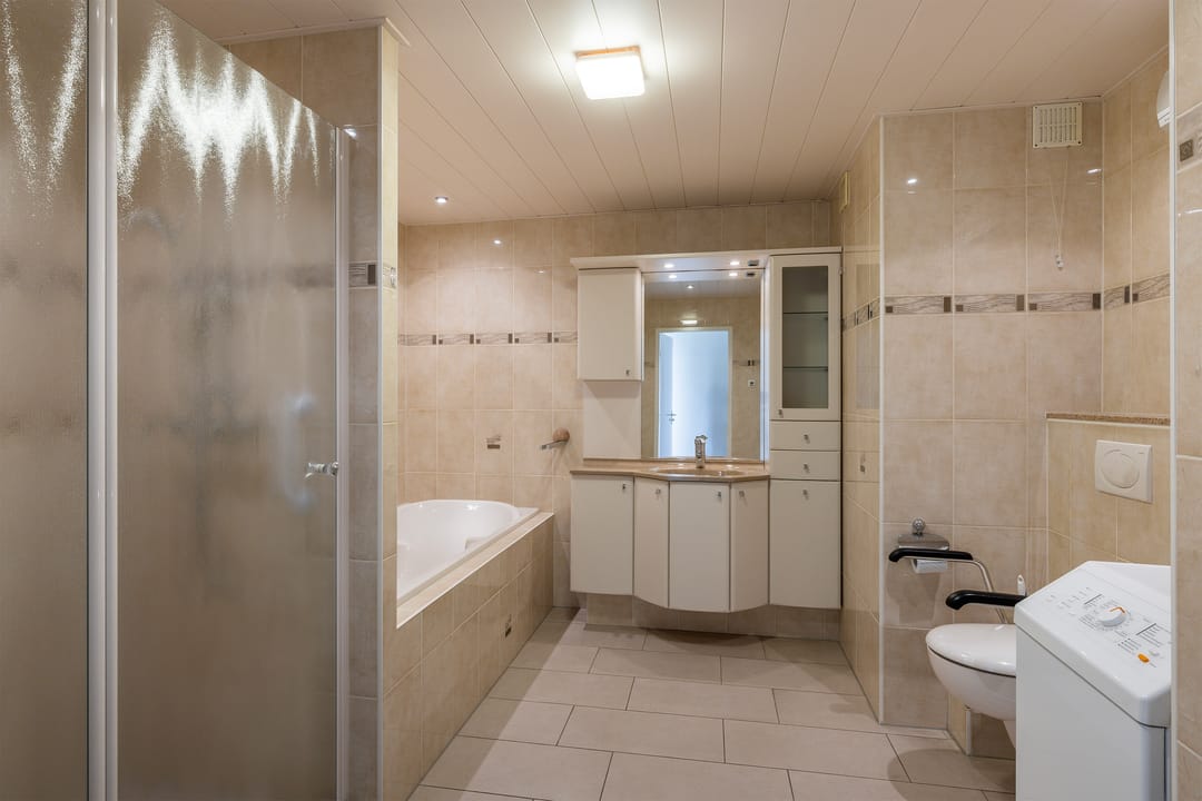 Foto 13 van Seringenplantsoen 169