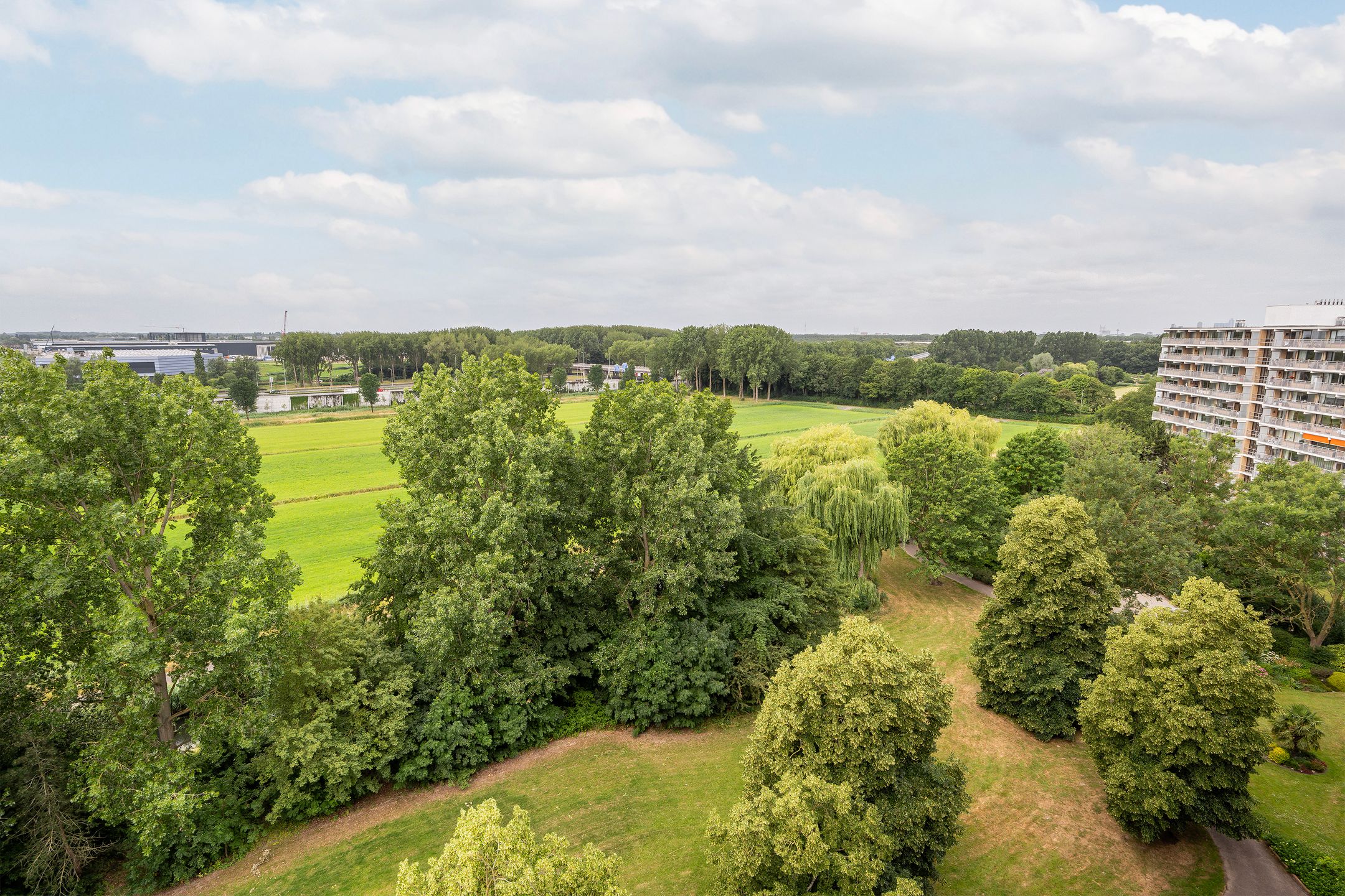 Foto 27 van Seringenplantsoen 169