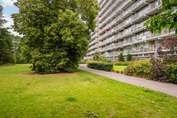 Photo 29 of Seringenplantsoen 169