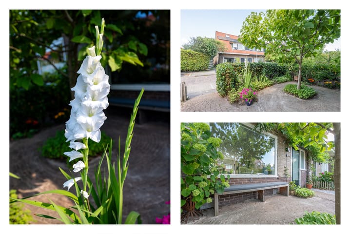 Photo 34 of Rijnstraat 35