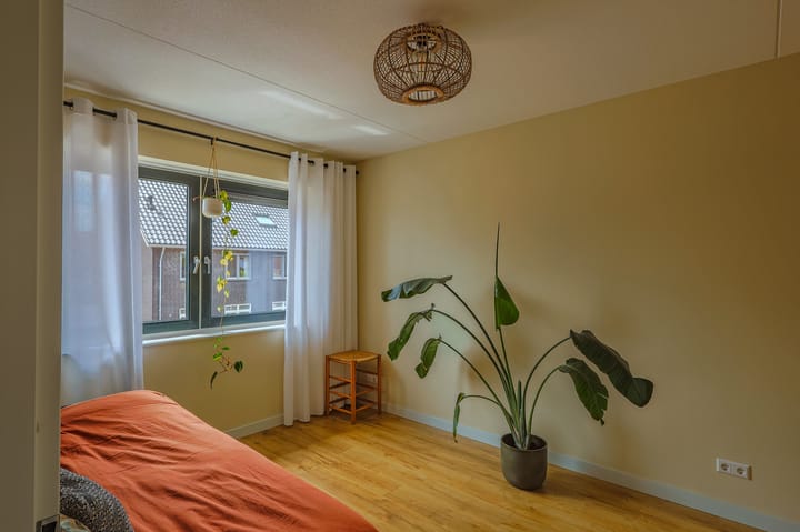 Foto 15 van Notenerf 8