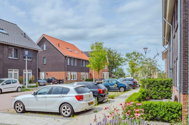 Foto 40 van Notenerf 8