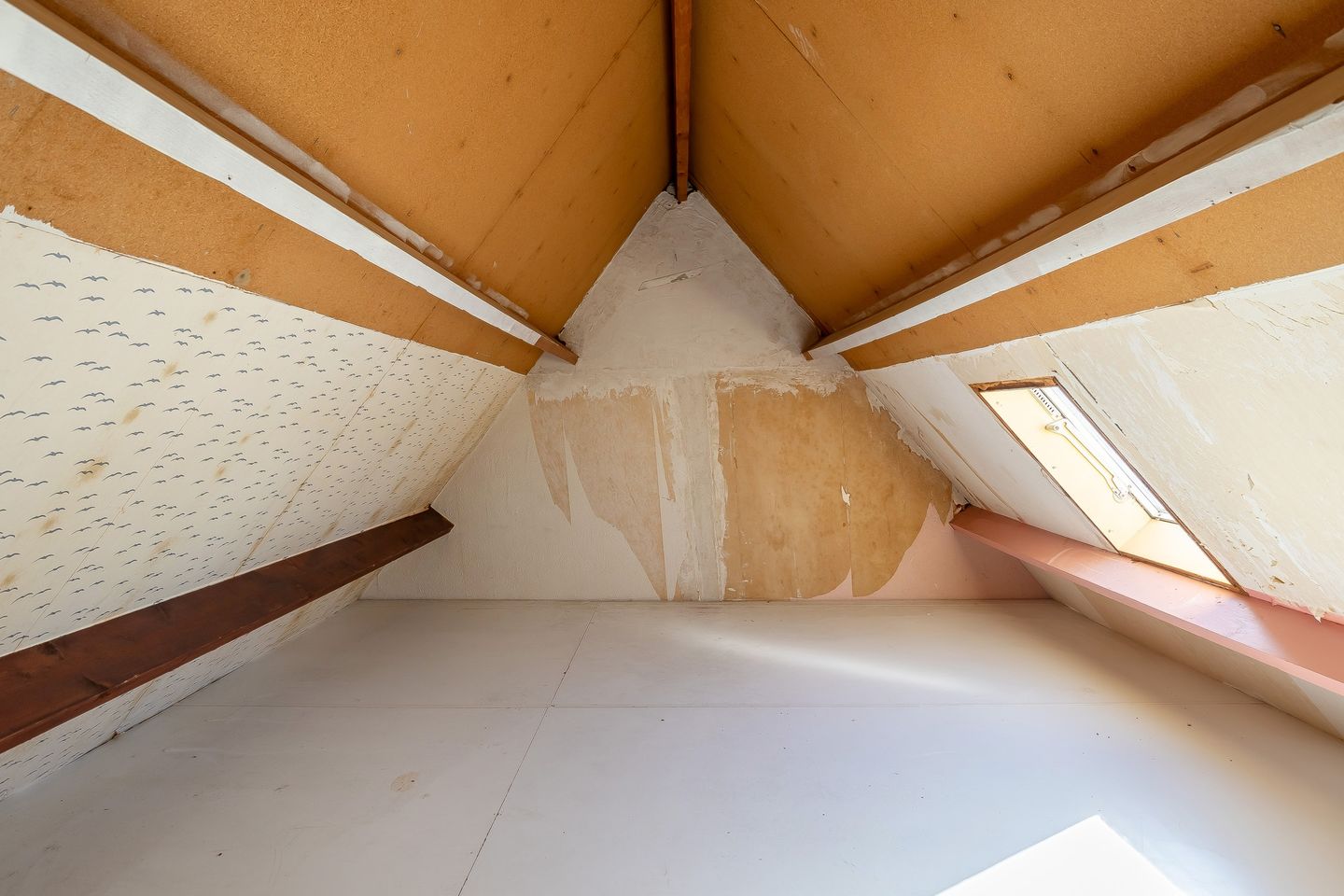 Foto 25 van Kuiperstraat 13