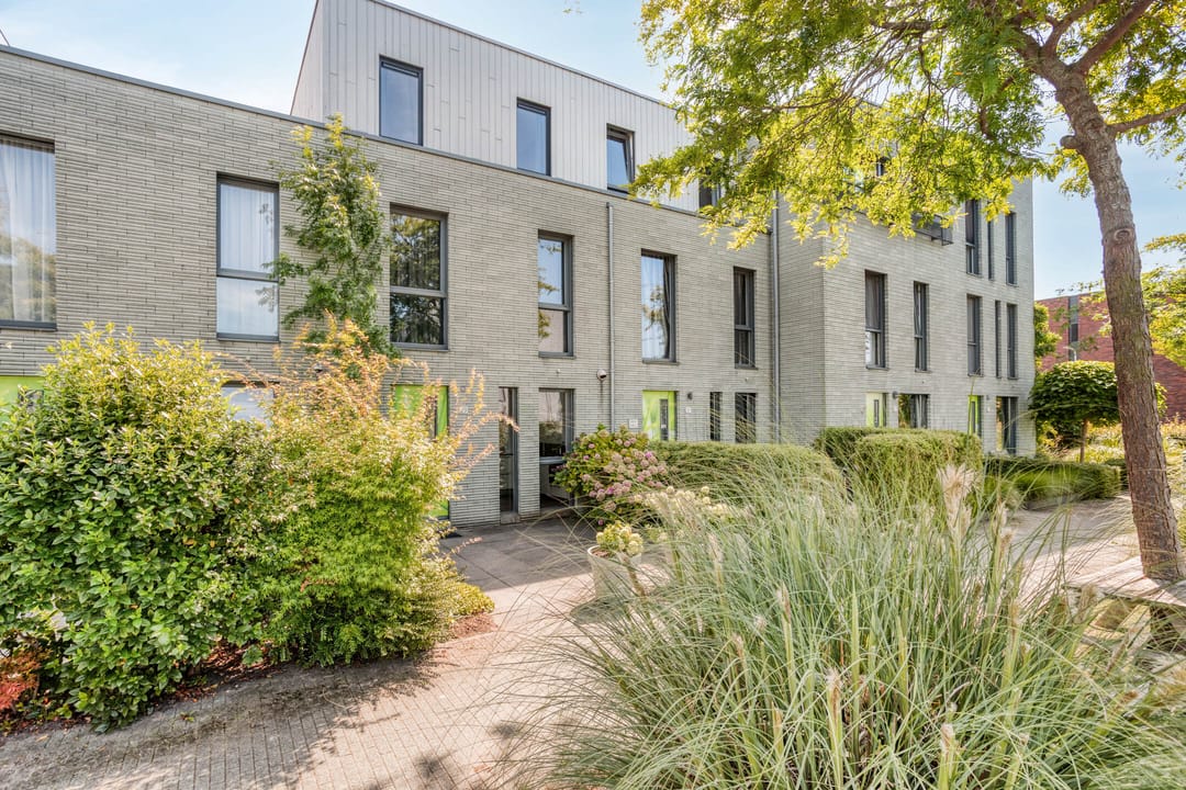 Photo 1 of Speenkruid 29